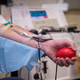 Image for article titled Covid-19 Is Already Wreaking Havoc on the Blood Supply